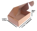 Caixa Ecommerce Parda (17,5x17,5x9) Lisa