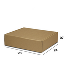 Caixa Ecommerce - (26x24x7) Lisa