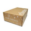 Caixa Atrativa Personalizada (32x19x9)